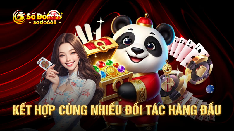 kết hợp cùng nhiều đối tác hàng đầu