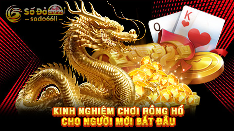 kinh nghiệm chơi rồng hổ cho người mới bắt đầu
